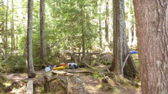 DenhamHammockSite.webp