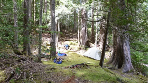 DenhamTentSite.webp
