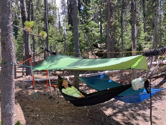 SoloPole.webp