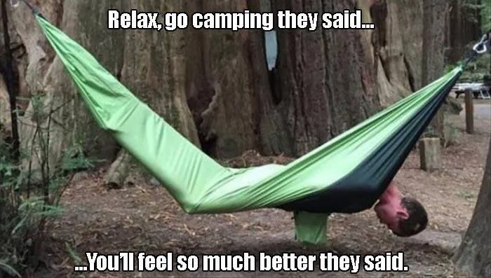just-hanging-in-the-woods.webp