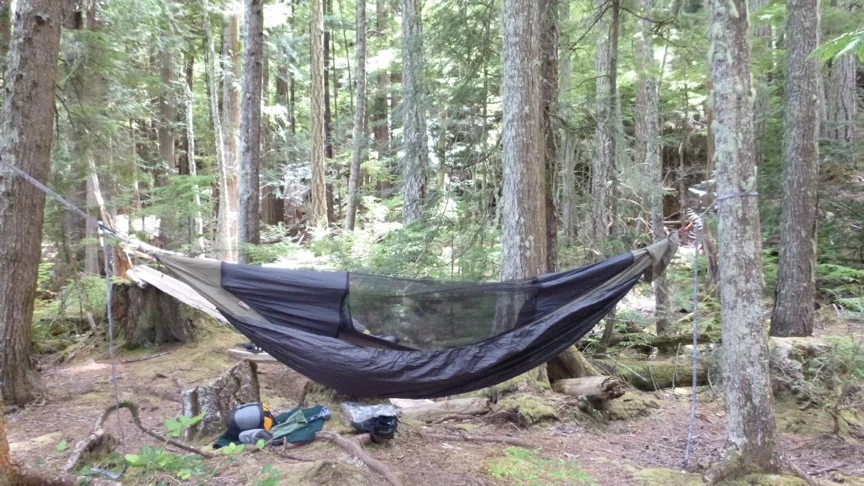 DenhamHammock.webp
