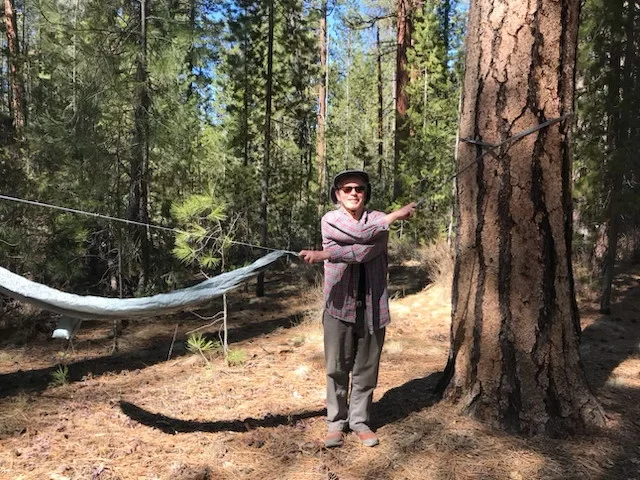 BenhamHammock.webp