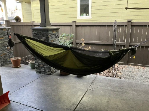 FirstTheHammock.webp