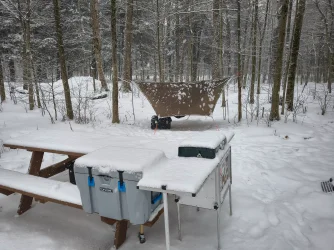 Winter Hammocking.webp